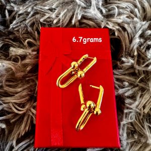 Solid HardWare Earrings