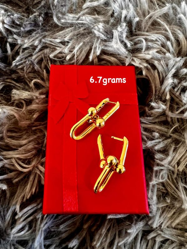 Solid HardWare Earrings
